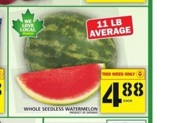 Food Basics Whole Seedless Watermelon offer
