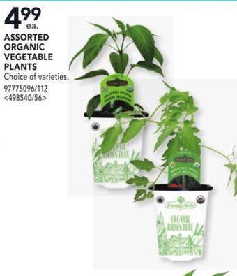 Lowe's Assorted organic vegetable plants offer