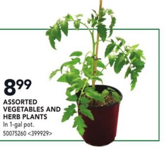 Lowe's Assorted vegetables and herb plants offer