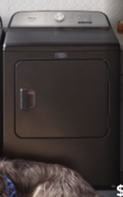 Lowe's Maytag 7 cu. ft. pet pro electric dryer offer