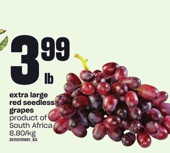 Loblaws Extra large red seedless grapes offer