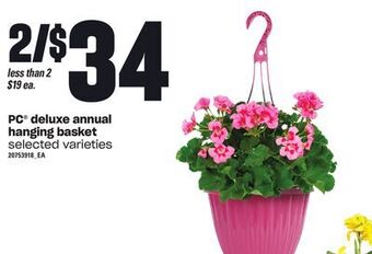 Loblaws Pc deluxe annual hanging basket offer