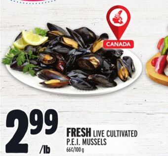Metro Fresh live cultivated p.e.i. mussels offer