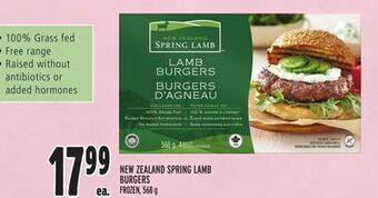 Metro New zealand spring lamb burgers offer