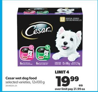 Real Canadian Superstore Cesar wet dog food, 12x100 g offer