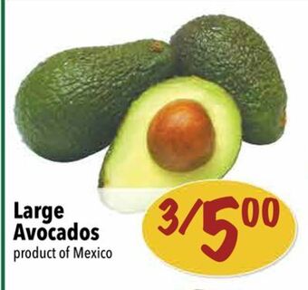Farm Boy Large avocados offer