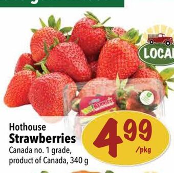 Farm Boy Hothouse strawberries offer