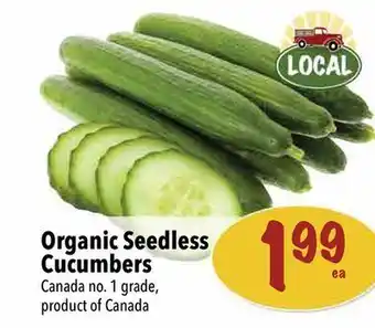 Farm Boy Organic seedless cucumbers offer