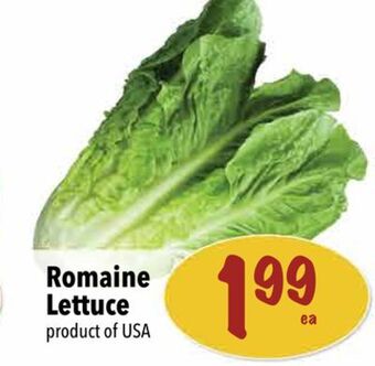 Farm Boy Romaine lettuce offer