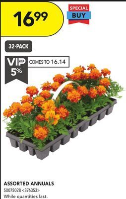 RONA Assorted annuals offer