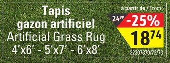Sushi Shop Artificial grass rug offer