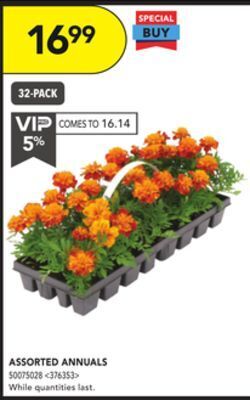 Lowe's 30-pack assorted annuals offer