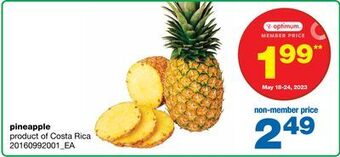 Wholesale Club Pineapple offer