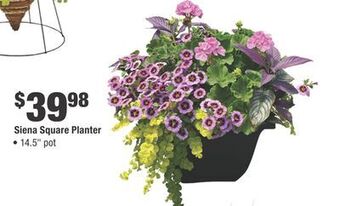 Home Depot Siena square planter offer