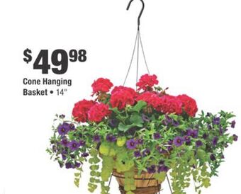 Home Depot Cone hanging basket offer