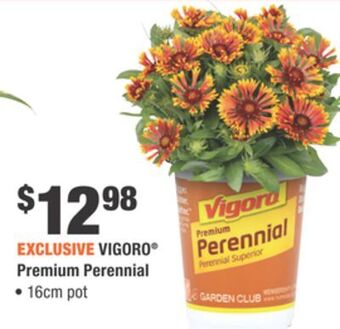 Home Depot Vigoro® premium perennial offer
