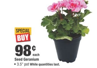 Home Depot Seed geranium offer