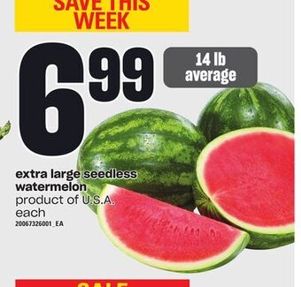 Zehrs Markets Extra large seedless watermelon, 14 lb average offer