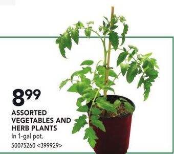 RONA Assorted vegetable and herb plants offer