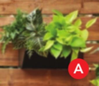 RONA Hoft planter 15 offer