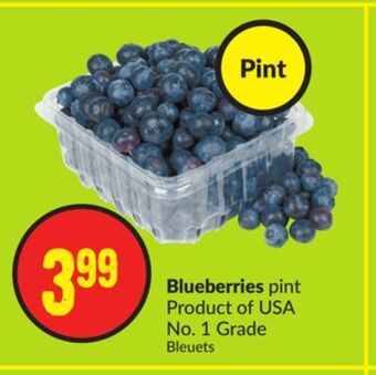 Chalo FreshCo Blueberries pint product of usa no. 1 grade offer