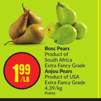 Chalo FreshCo Bosc pears product of south africa extra fancy grade anjou pears product of usa extra fancy grade 4.39/kg offer