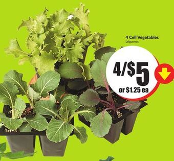 Chalo FreshCo 4 cell vegetables offer