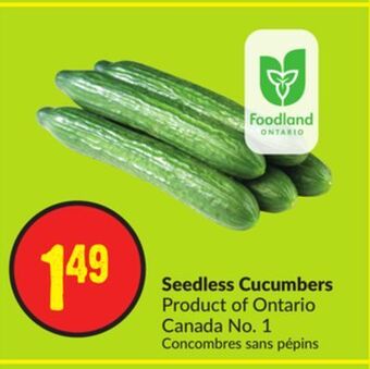 Chalo FreshCo Seedless cucumbers product of ontario canada no. 1 offer