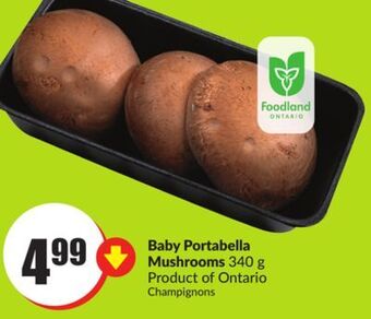 Chalo FreshCo Baby portabella mushrooms 340 g product of ontario offer