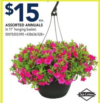 RONA Assorted annuals offer