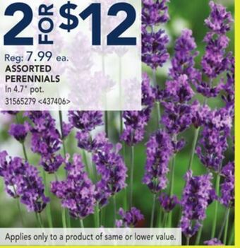 RONA Assorted perennials offer