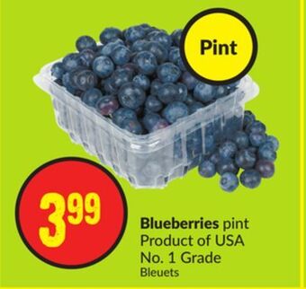 FreshCo Blueberries pint product of usa no.1 grade offer
