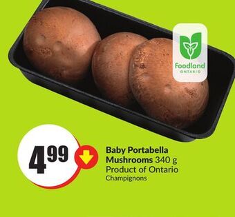 FreshCo Baby portabella mushrooms 340 g product of ontario offer