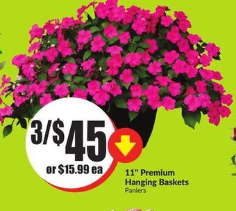 FreshCo 11 premium hanging baskets offer