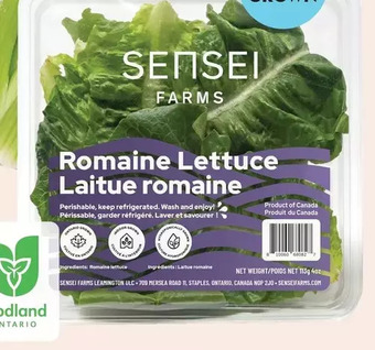 Giant Tiger Iceberg lettuce offer
