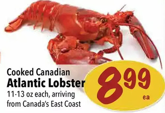 Farm Boy Atlantic lobster offer