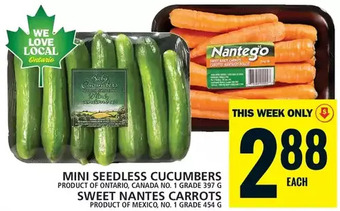 Food Basics Mini seedless cucumbers | sweet nantes carrots offer