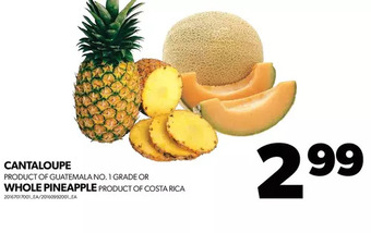 Real Canadian Superstore Cantaloupe or whole pineapple offer