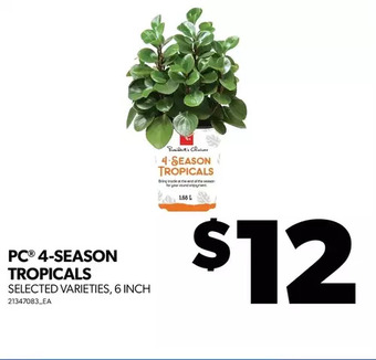 Real Canadian Superstore Pc 4-season tropicals offer