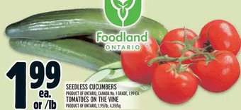 Metro Seedless cucumbers | tomatoes on the vine offer
