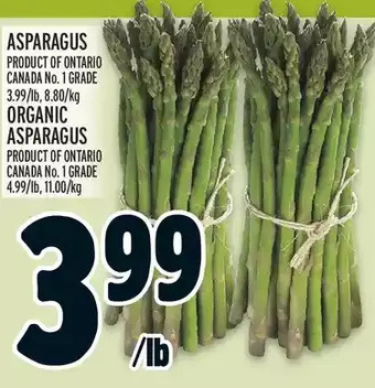 Metro Asparagus | organic asparagus offer