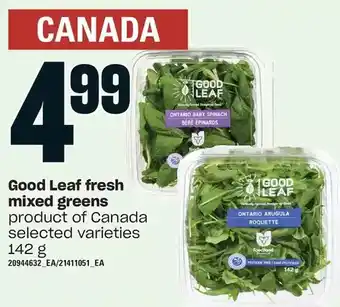 Loblaws Good leaf fresh mixed greens offer