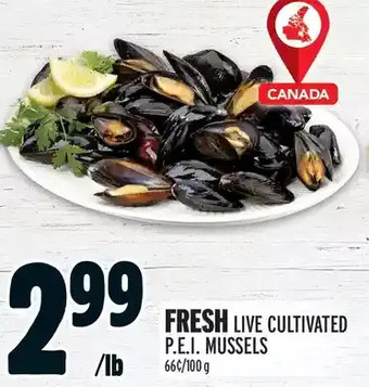 Metro Live cultivated p.e.i. mussels offer
