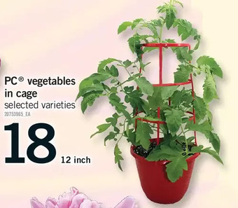 Fortinos Pc vegetables in cage offer