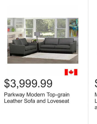 Costco Parkway Modern Top-grain Leather Sofa and Loveseat offer