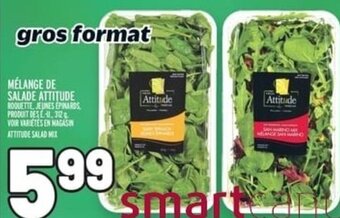 Metro MÉLANGE DE SALADE ATTITUDE offer