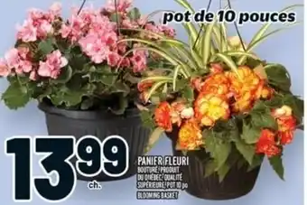 Metro BLOOMING BASKET offer