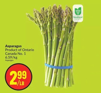 FreshCo Asparagus offer