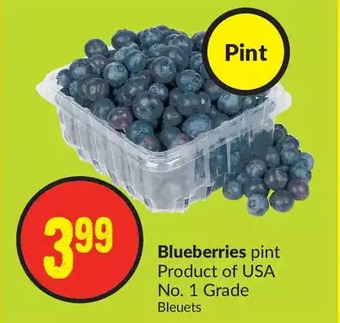 FreshCo Blueberries offer