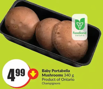 FreshCo Baby portabella mushrooms offer